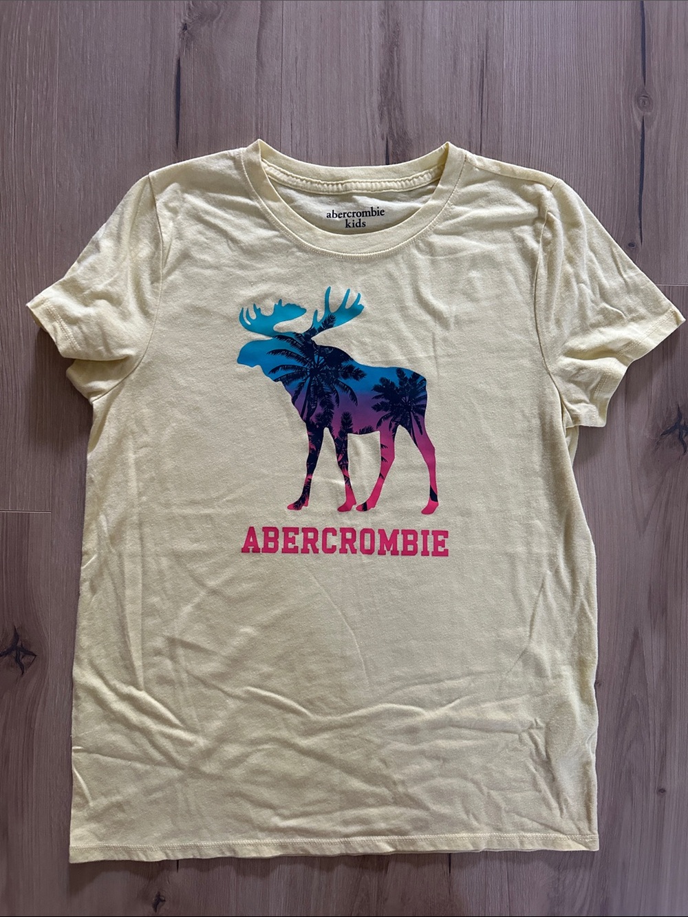 abercrombie kids yellow tee with blue-to-pink moose graphic